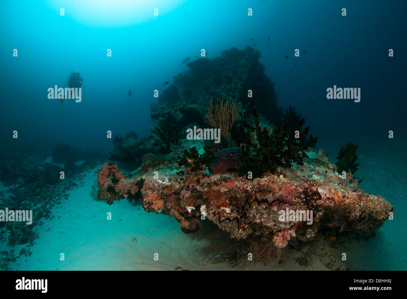 Approches plongeur épave à Chaaya Reef, South Ari Atoll, Maldives Banque D'Images