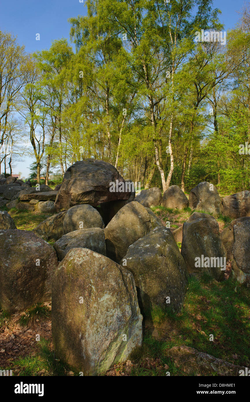 Glaner braut, wildeshausener geest, Oldenbourg, Basse-Saxe, Allemagne Banque D'Images