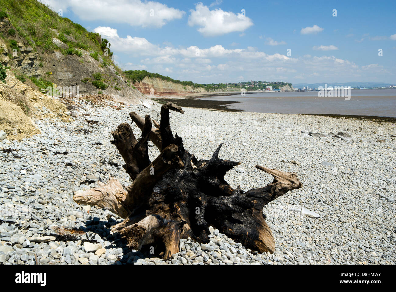 Souche d'arbre brûlé et à la plage en direction de penarth, Vale of Glamorgan South Wales UK Banque D'Images