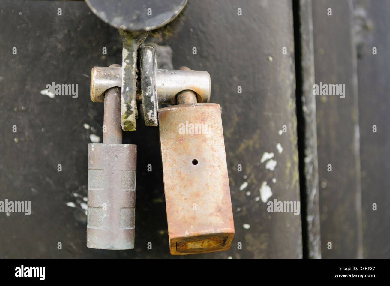 Deux cadenas sur une porte de la vis, ce qui permet d'ouvrir la porte en déverrouillant l'un cadenas Banque D'Images