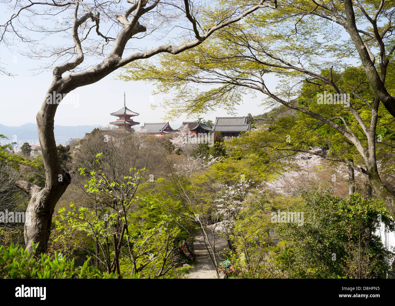 Temple Kiyomizu-dera à Kyoto, Japon Banque D'Images