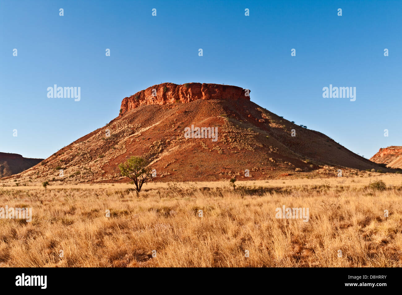 BREADEN HILLS, CANNING STOCK ROUTE, grand désert de sable, de l'Australie-Occidentale, Australie Banque D'Images