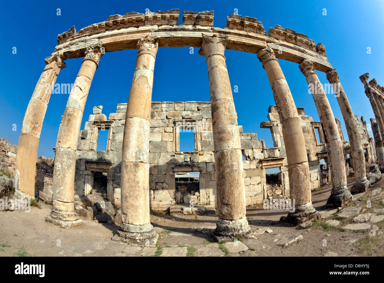 Pompey fait Apamée (Apameia) ou Afamia (Arabe) partie de l'Empire romain en Syrie. Cardo Maximus rue avec des colonnes. Banque D'Images