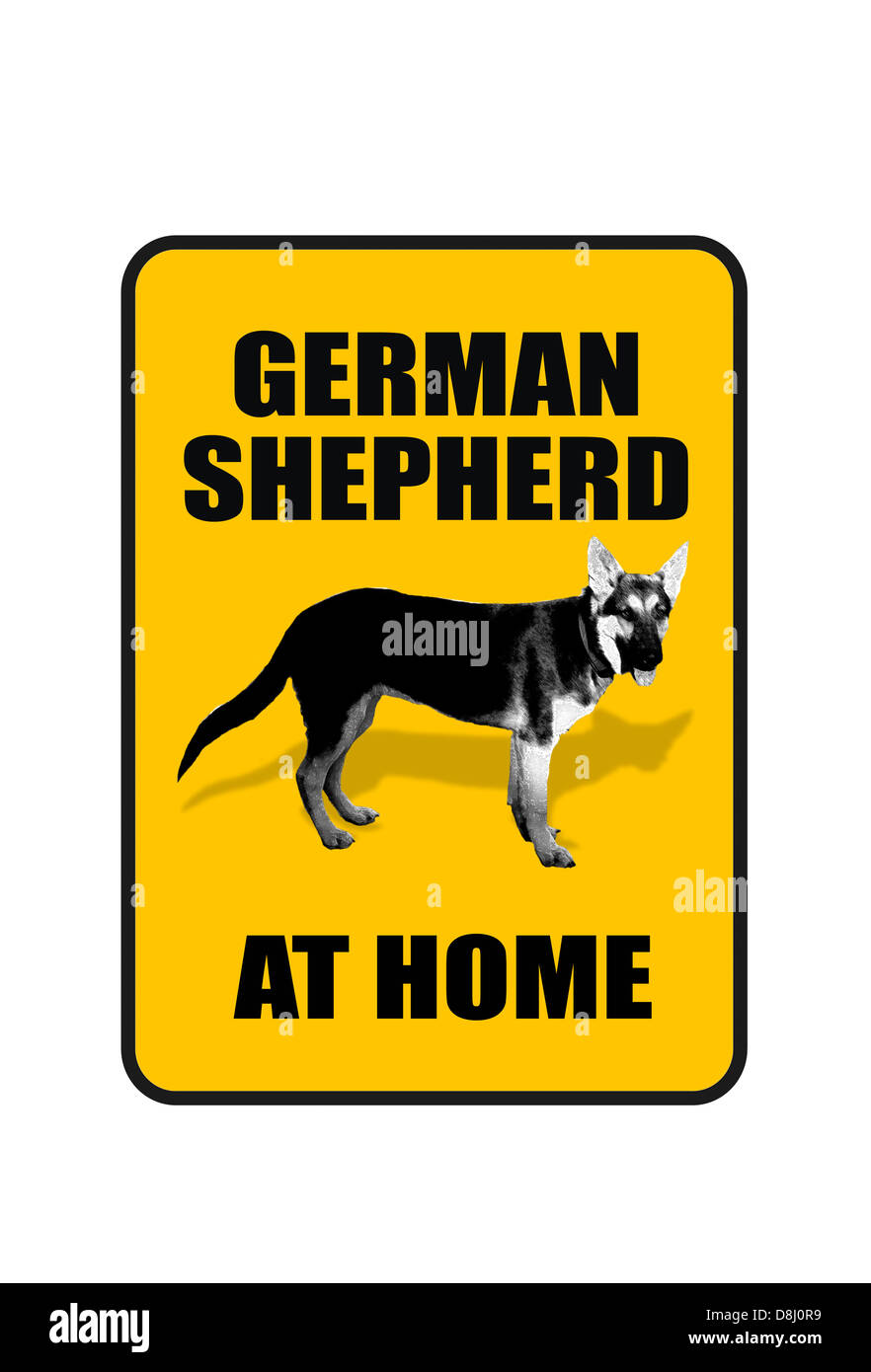 German Shepard chien à la maison. Banque D'Images