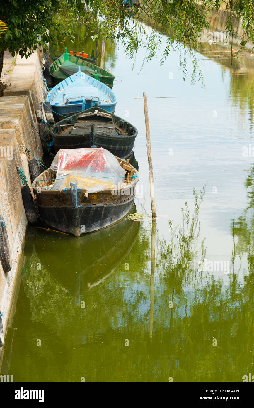 Les bateaux de pêche traditionnels comme vu dans la parc naturel de s'Albufera, Valencia, Espagne Banque D'Images