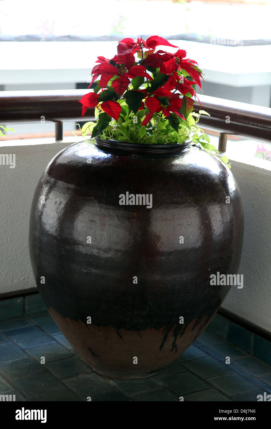 Cest Une Photo Dun énorme Vase à Fleurs Ou En Pot Il Y A