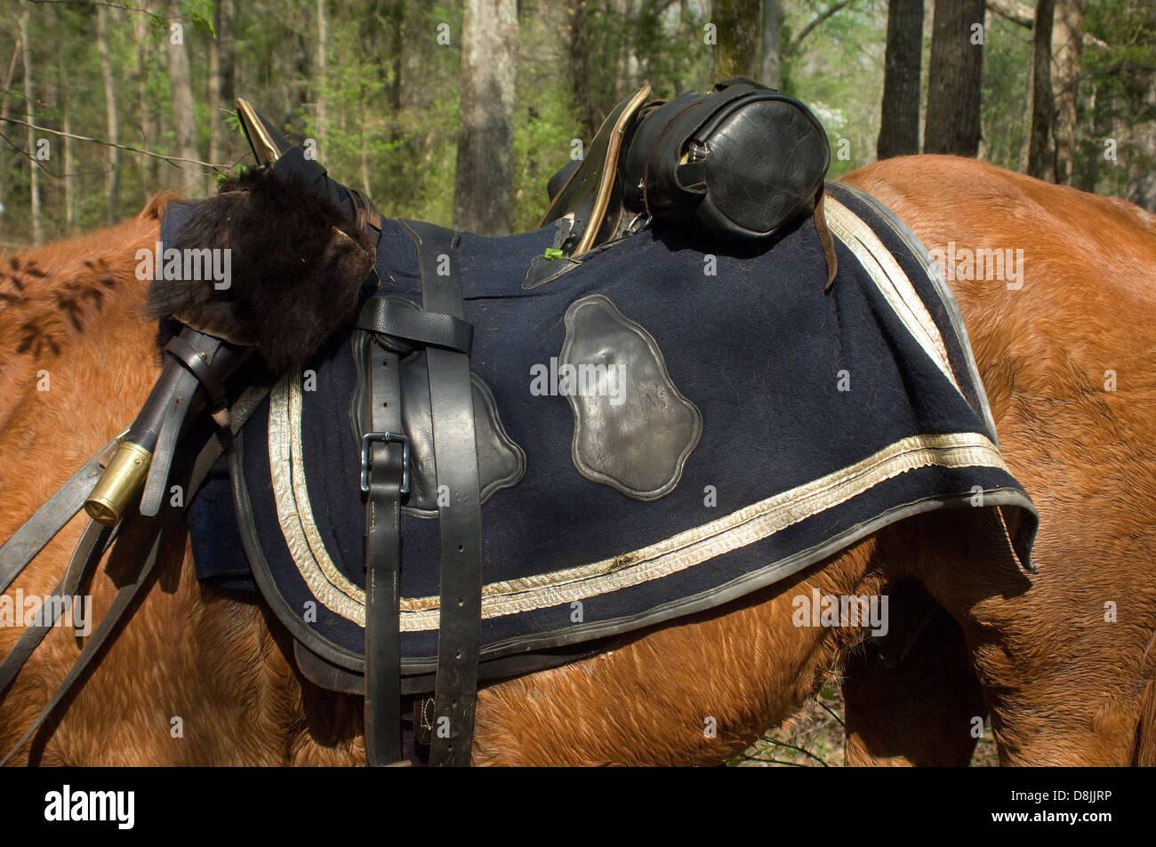 Armée de l'Union et une couverture de selle, Shiloh National Military Park,  New York. Photographie numérique Photo Stock - Alamy