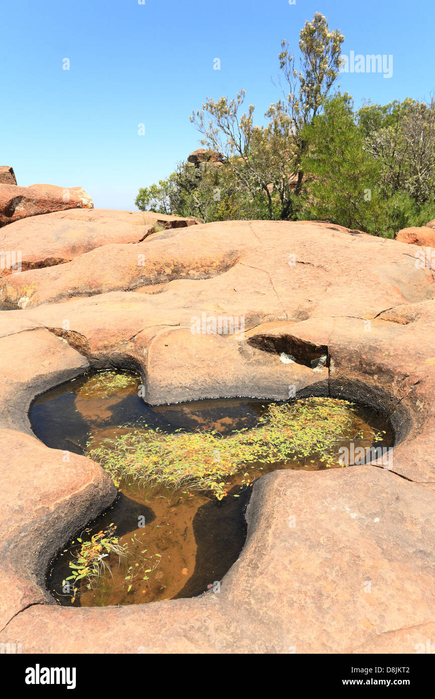 Rock piscine dans la vallée de la désolation, Graaff Reinet, Eastern Cape, Afrique du Sud Banque D'Images