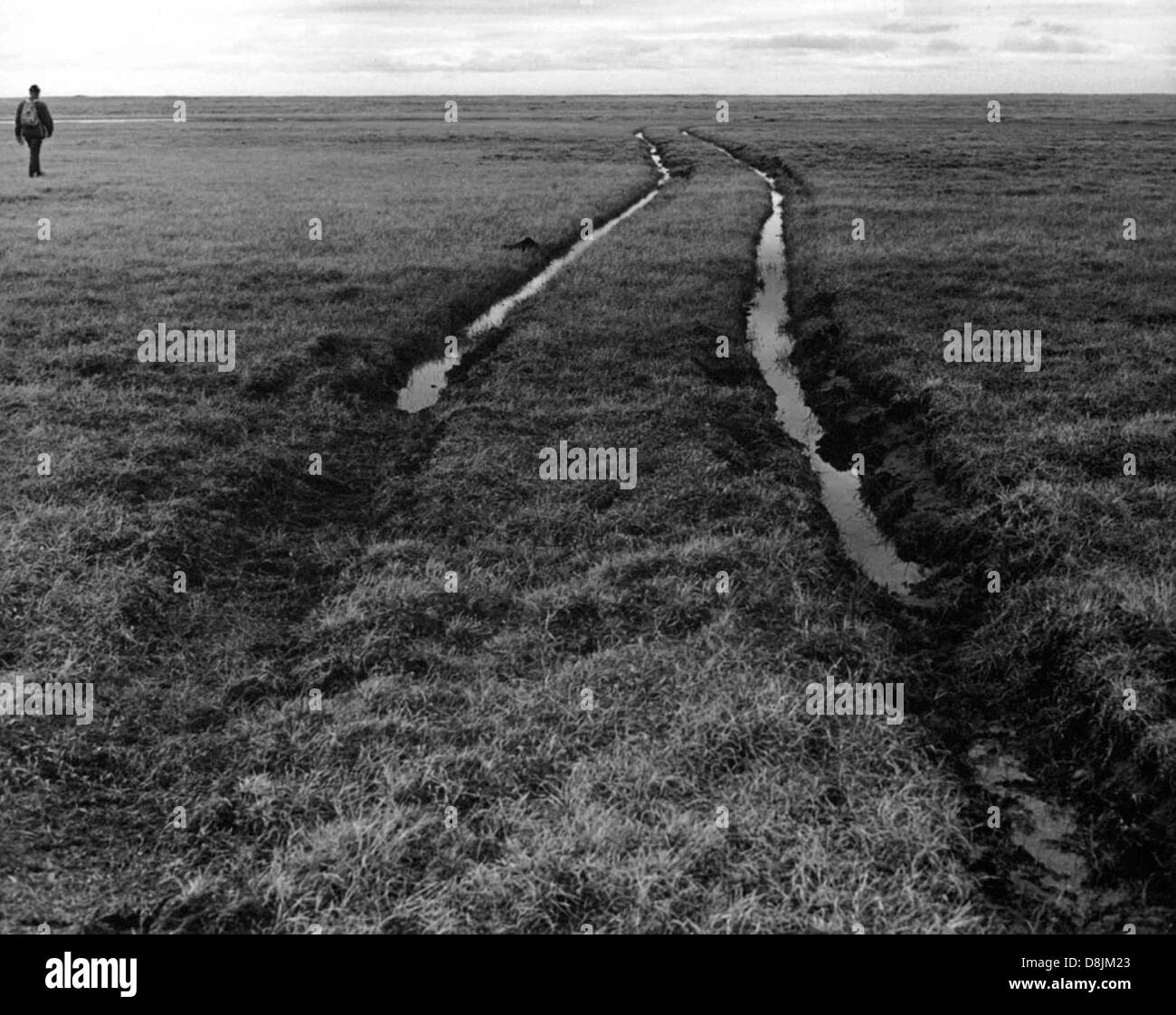 Véhicule à chenilles effectuant un seul passage dans un champ ou un terrain en été, souvent utilisé en agriculture, en foresterie ou en construction pour dégager des chemins ou transporter des marchandises. Les chenilles du véhicule aident à répartir son poids et à minimiser les dommages au sol. Banque D'Images