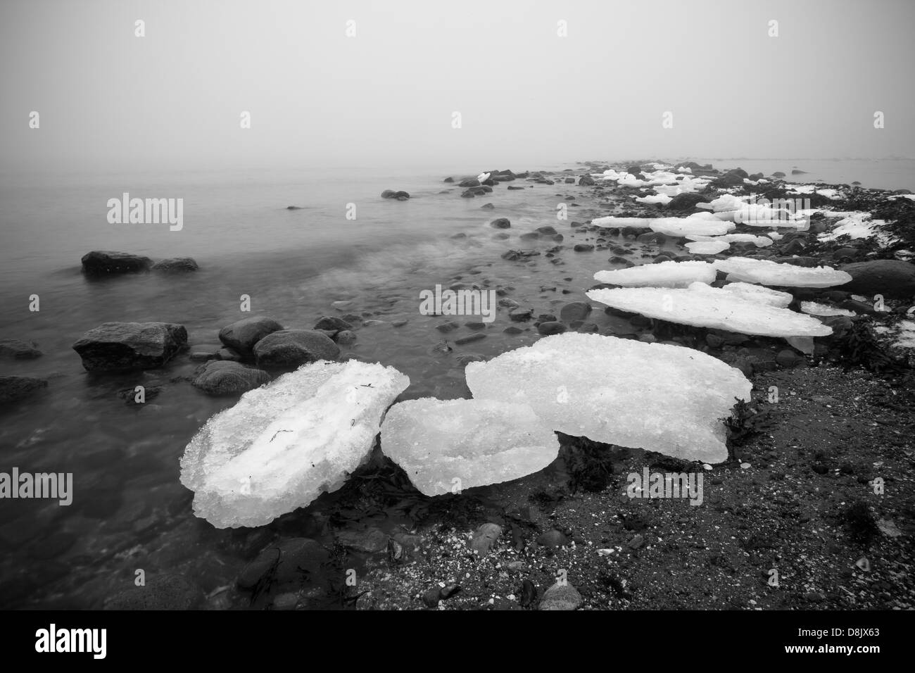 Flocons de glace à côté Oslofjorden à Larkollen à Rygge kommune, Østfold fylke, la Norvège. Banque D'Images