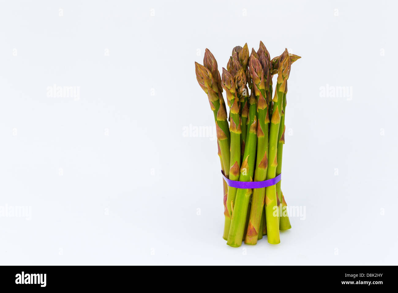 Bouquet d'asperges sur fond blanc avec ruban violet Banque D'Images
