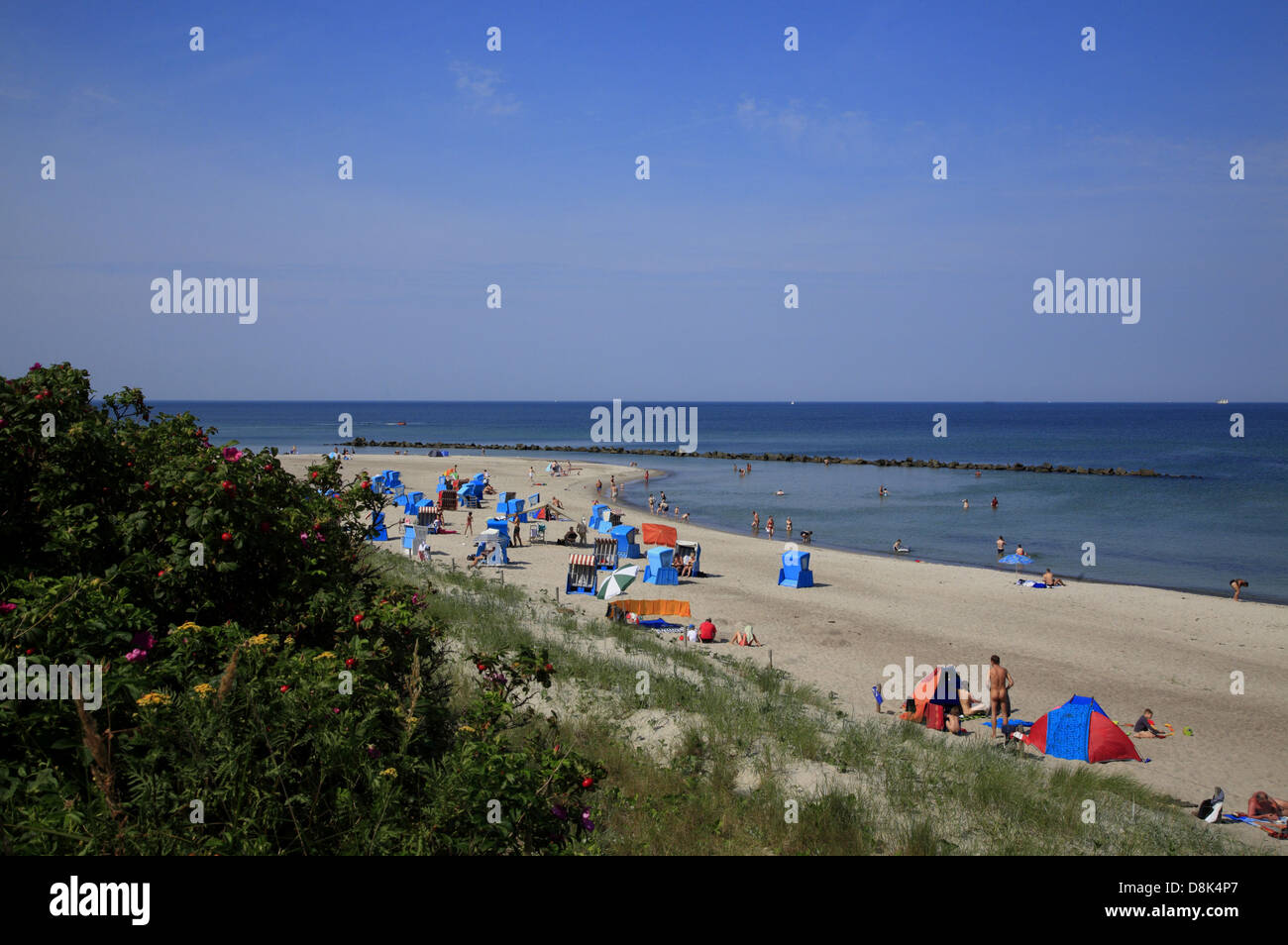 Ahrenshoop beach, Fischland, mer Baltique, Mecklembourg-Poméranie-Occidentale, Allemagne Banque D'Images