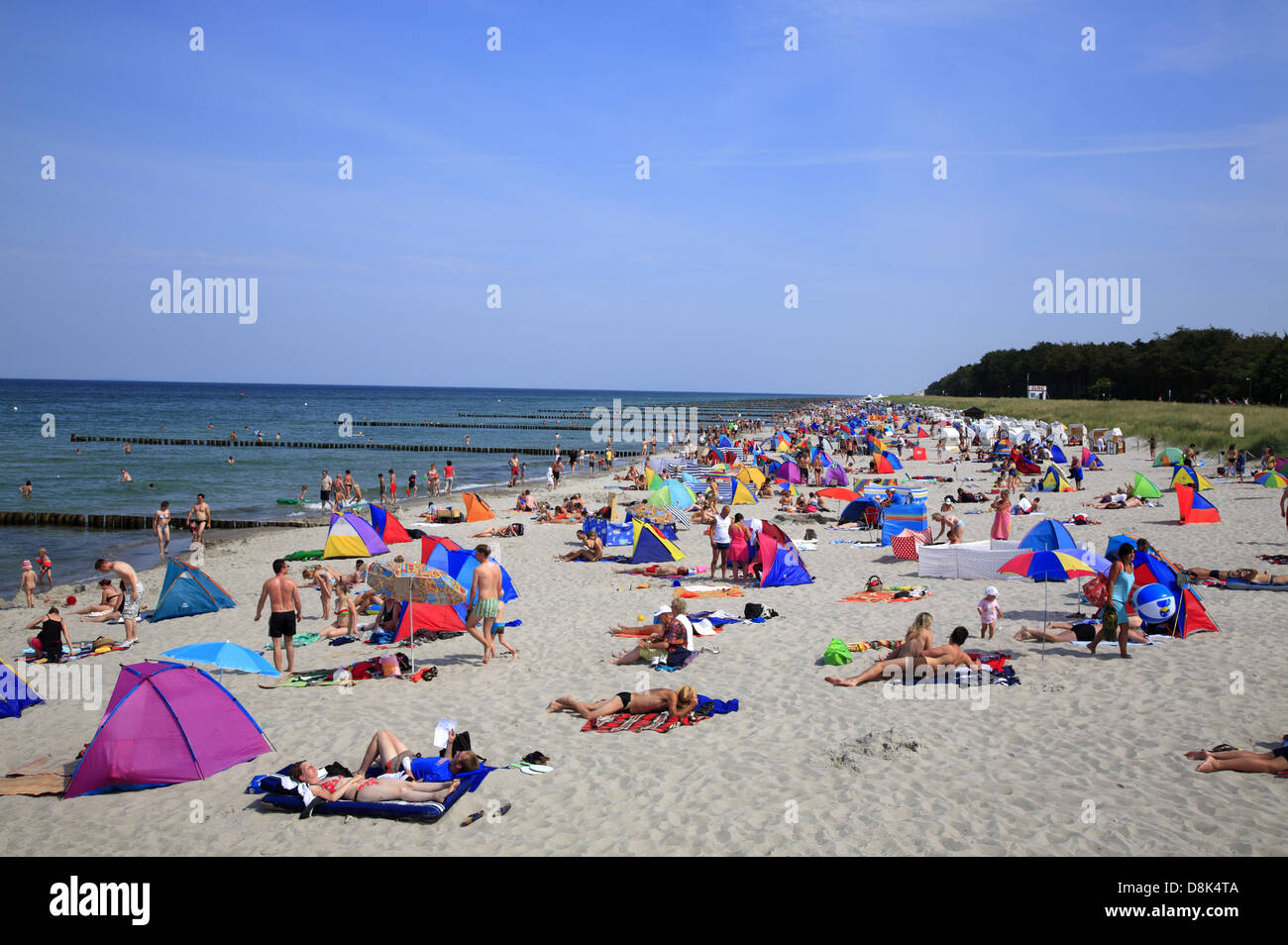 Darss Zingst, plage, mer Baltique, Mecklembourg-Poméranie-Occidentale, Allemagne Banque D'Images