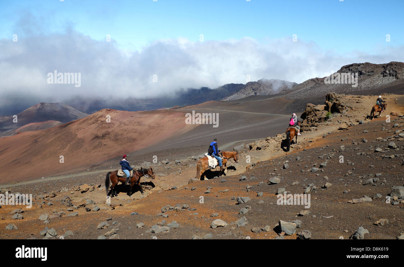 Les cavaliers d'explorer le parc national de Haleakala sur Maui Banque D'Images