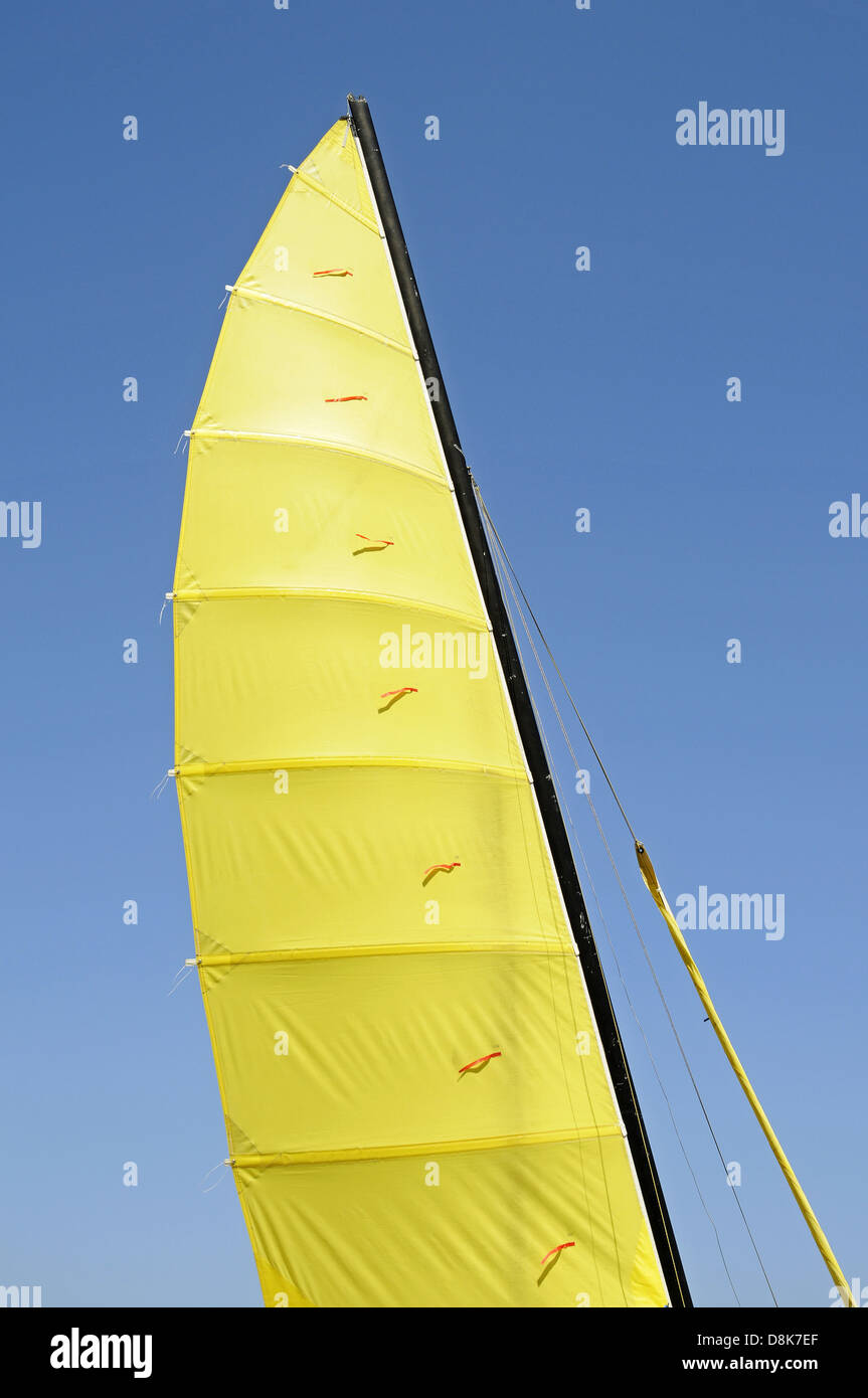 Voile jaune Banque D'Images