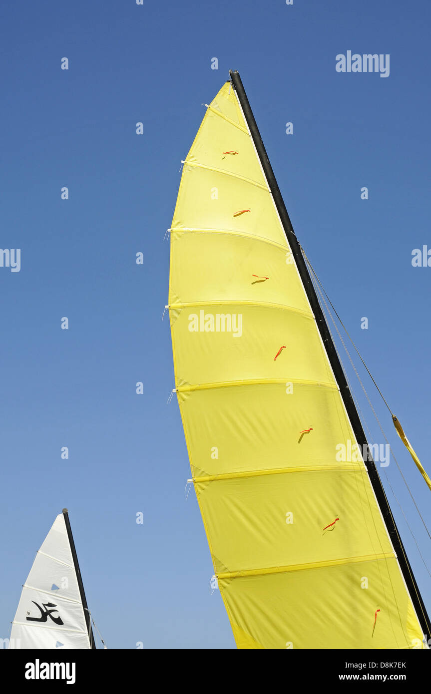 Voile jaune Banque D'Images