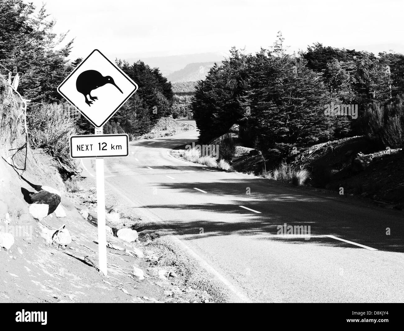 Kiwi Banque D'Images