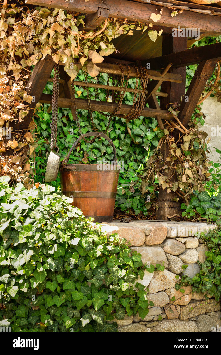 Ancien puits d'eau et un seau en bois entre les feuilles de lierre dans le jardin Banque D'Images
