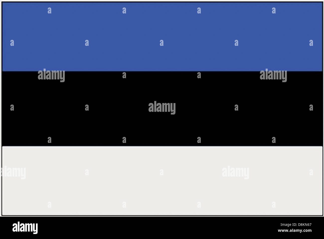 Le drapeau estonien présente trois bandes horizontales : bleu sur le dessus, noir au milieu et blanc en bas. Cette conception représente l'identité nationale du pays et ses valeurs. Banque D'Images