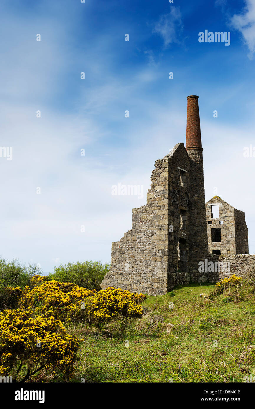 Les restes d'un Cornish engine house. Banque D'Images