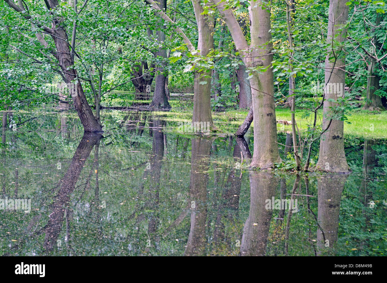 Parc Zdrojowy, inondées Kurpark, Swinoujscie, Pologne, Europe Banque D'Images