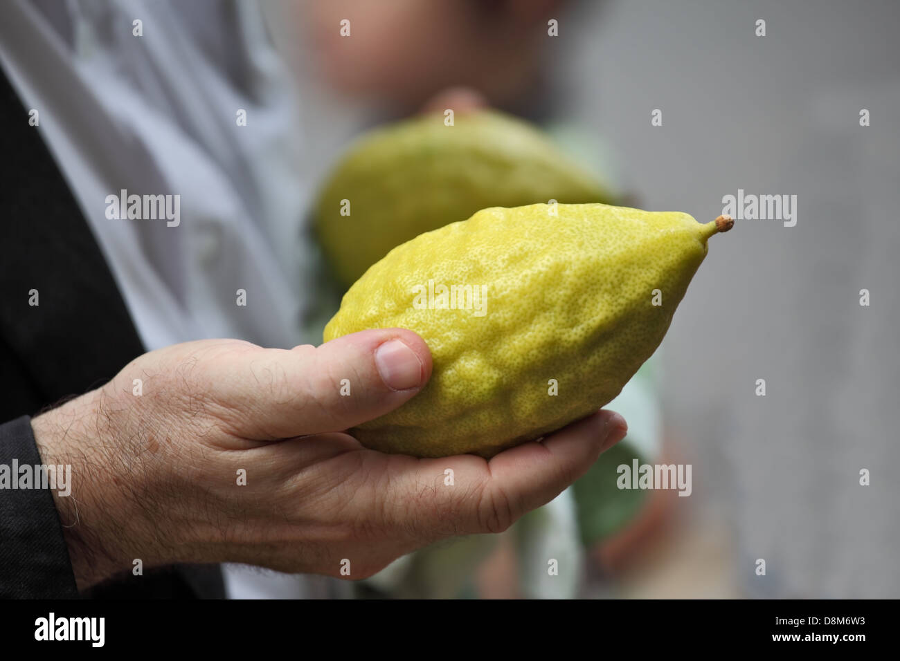 Belles grandes mains tiennent un rituel Citron Banque D'Images