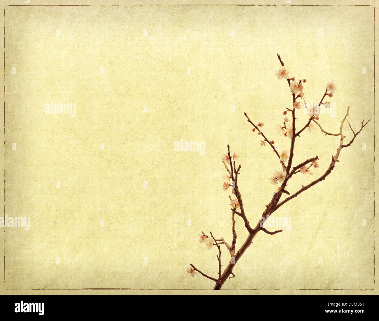 Grunge vintage art texture background Banque D'Images