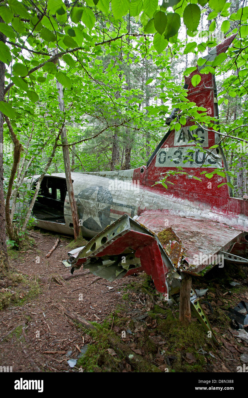 1957 crash de l'avion DC-3. Gustave-adolphe. Glacier Bay. De l'Alaska. USA Banque D'Images