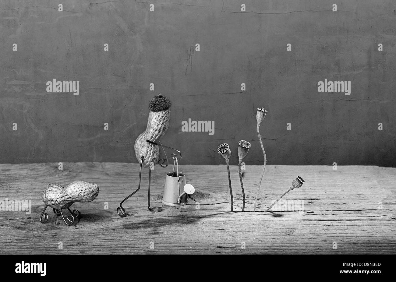 Jardinage Banque D'Images