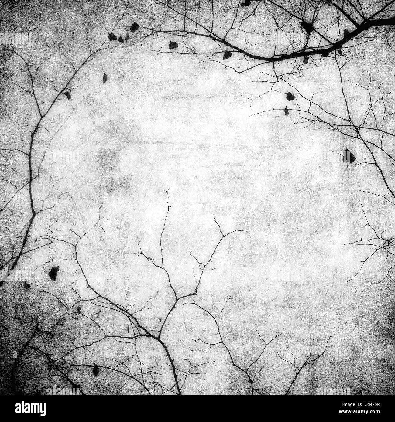 Grunge frame avec des silhouettes d'arbres Banque D'Images Grunge frame avec des silhouettes d'arbres Banque D'Images