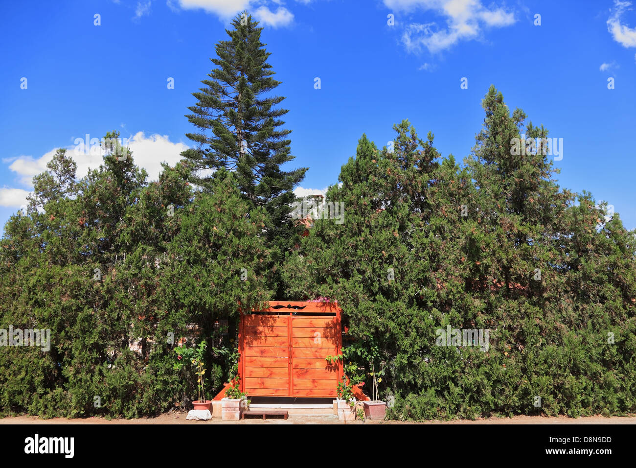 Porte en bois orange dans une couverture verte Banque D'Images