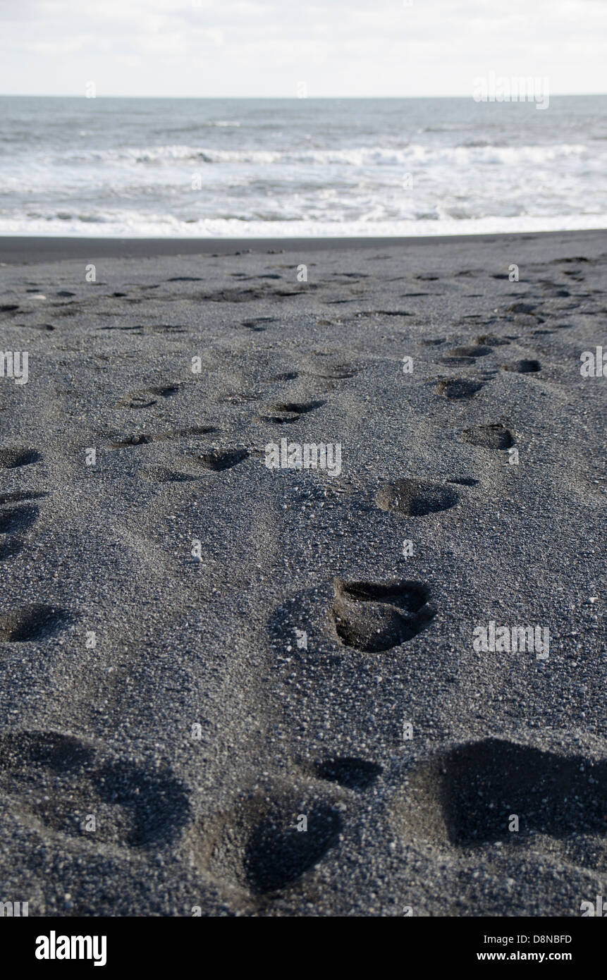 Empreintes dans plage de sable noir, l'Islande Banque D'Images