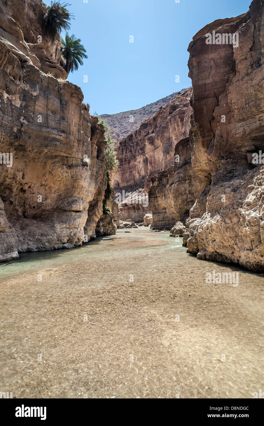 Paysage de l'écoulement de l'eau de ruisseau dans le Wadi Hasa, Jordanie Banque D'Images