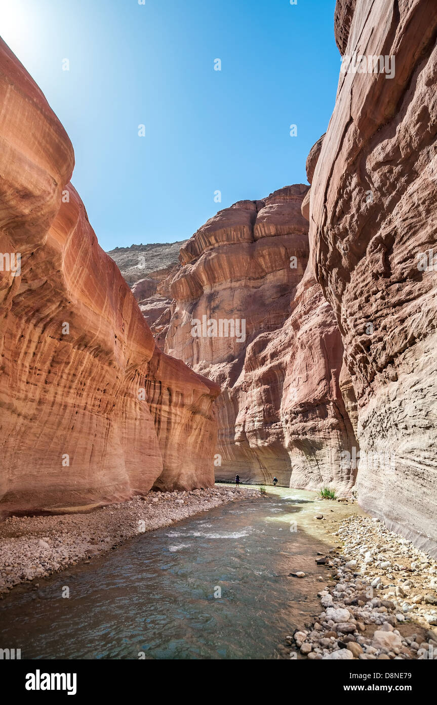 Paysage de l'écoulement de l'eau de ruisseau dans le Wadi Hasa, Jordanie Banque D'Images