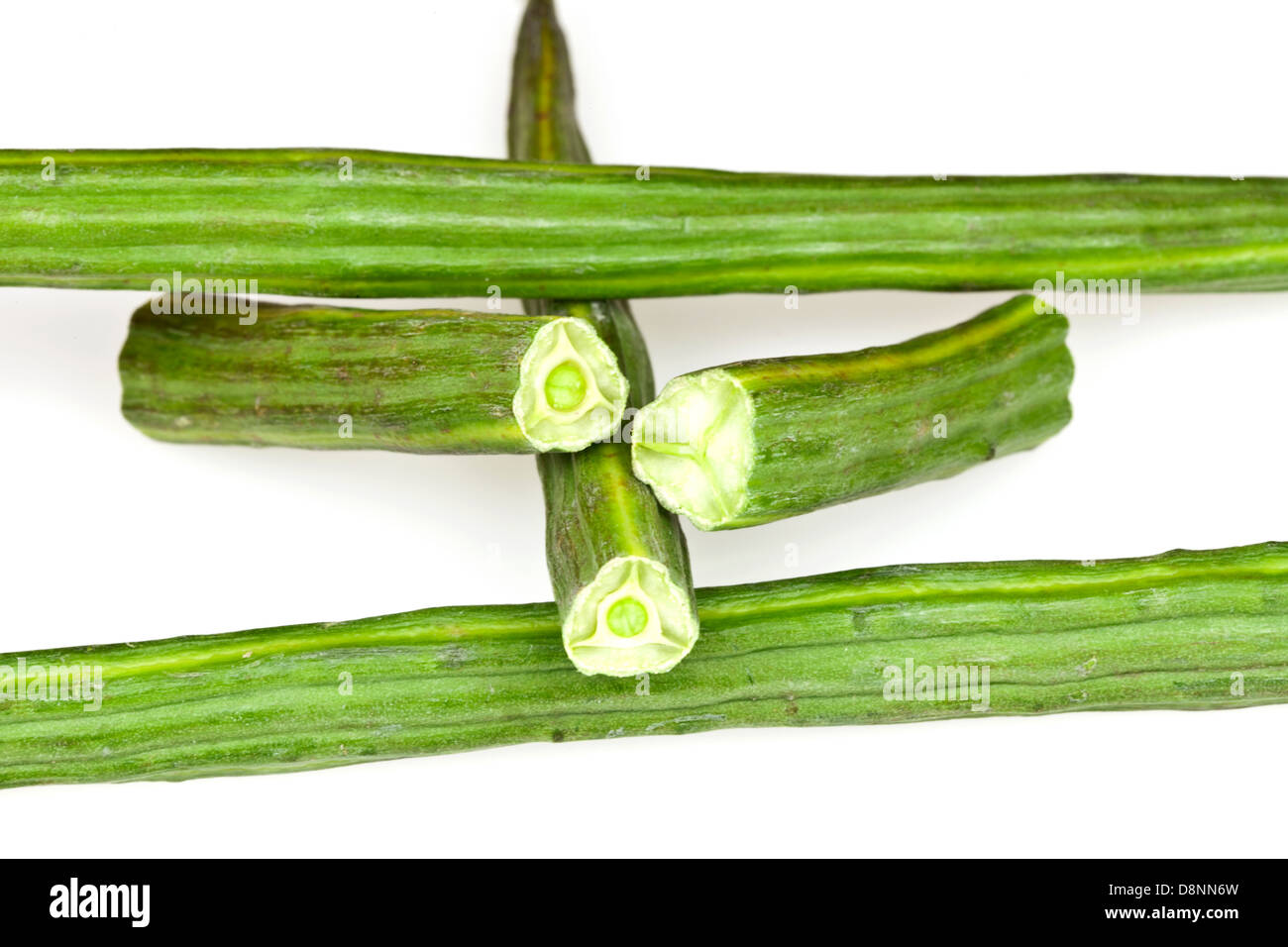 Baguette de légume ou d'un Moringa Banque D'Images