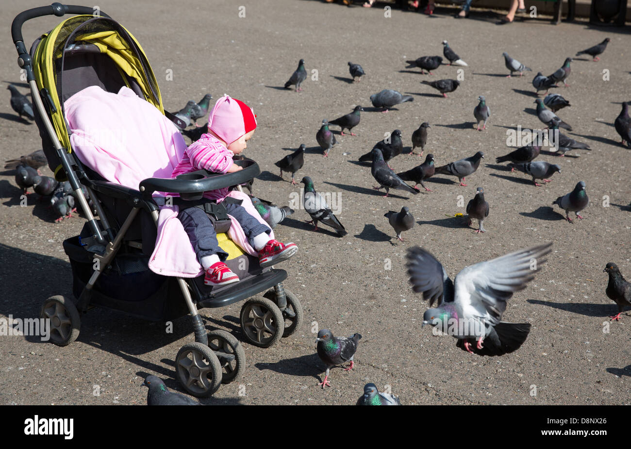Enfant fille jouant avec des colombes dans la ville street Banque D'Images
