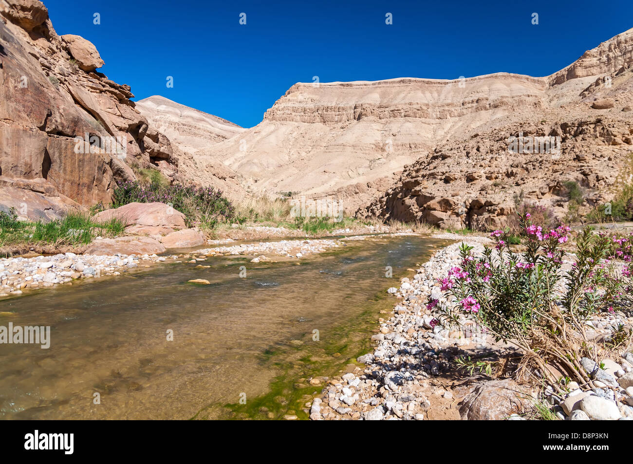 L'eau coule dans l'ouest de la Jordanie dans le Wadi Hasa Banque D'Images