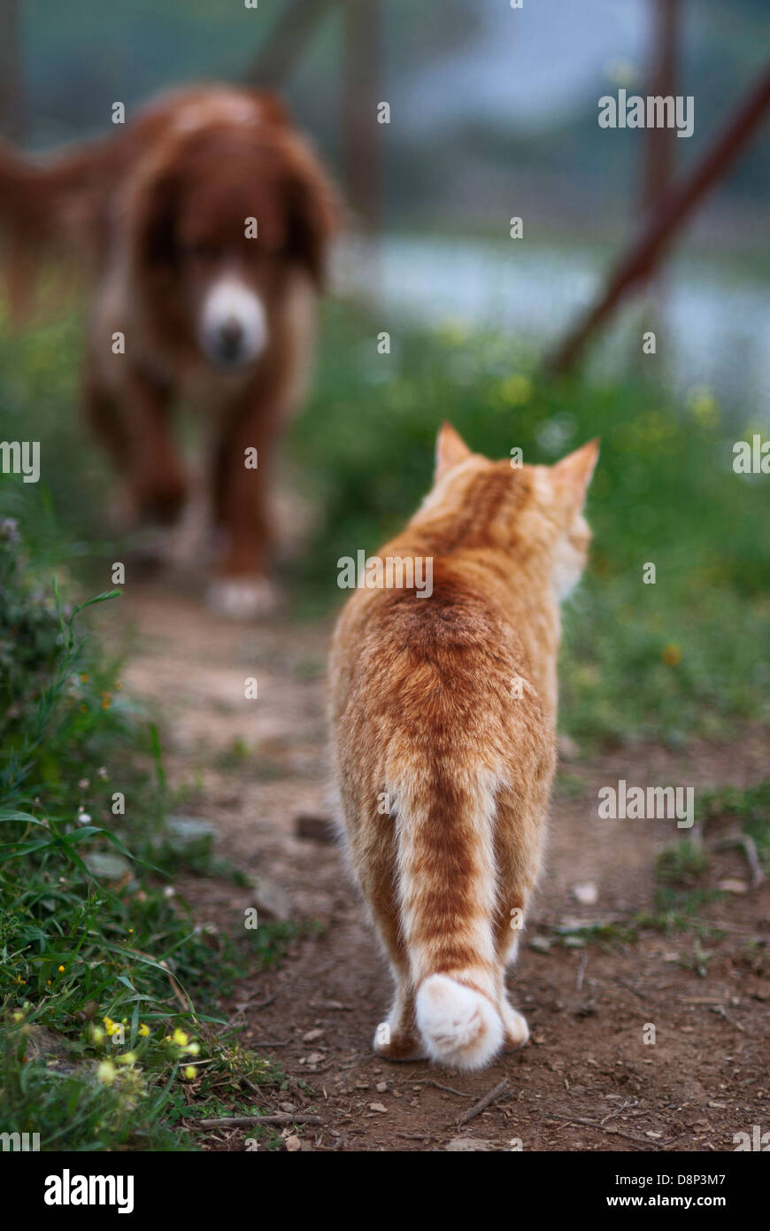chat sur rencontre