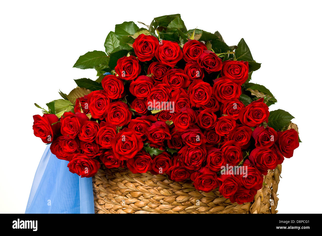 Roses rouges, un énorme bouquet de fleurs Photo Stock - Alamy