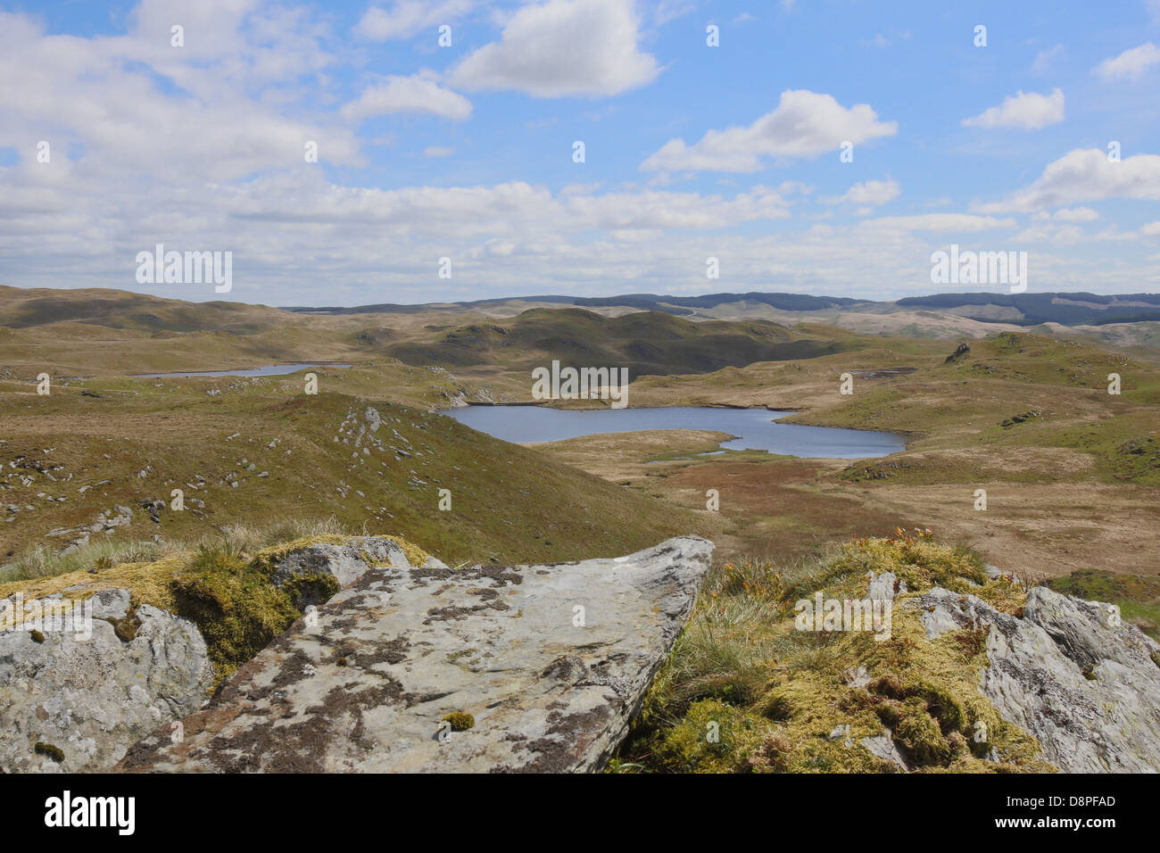 Teifi Piscines (Llynnoedd Teifi) Banque D'Images