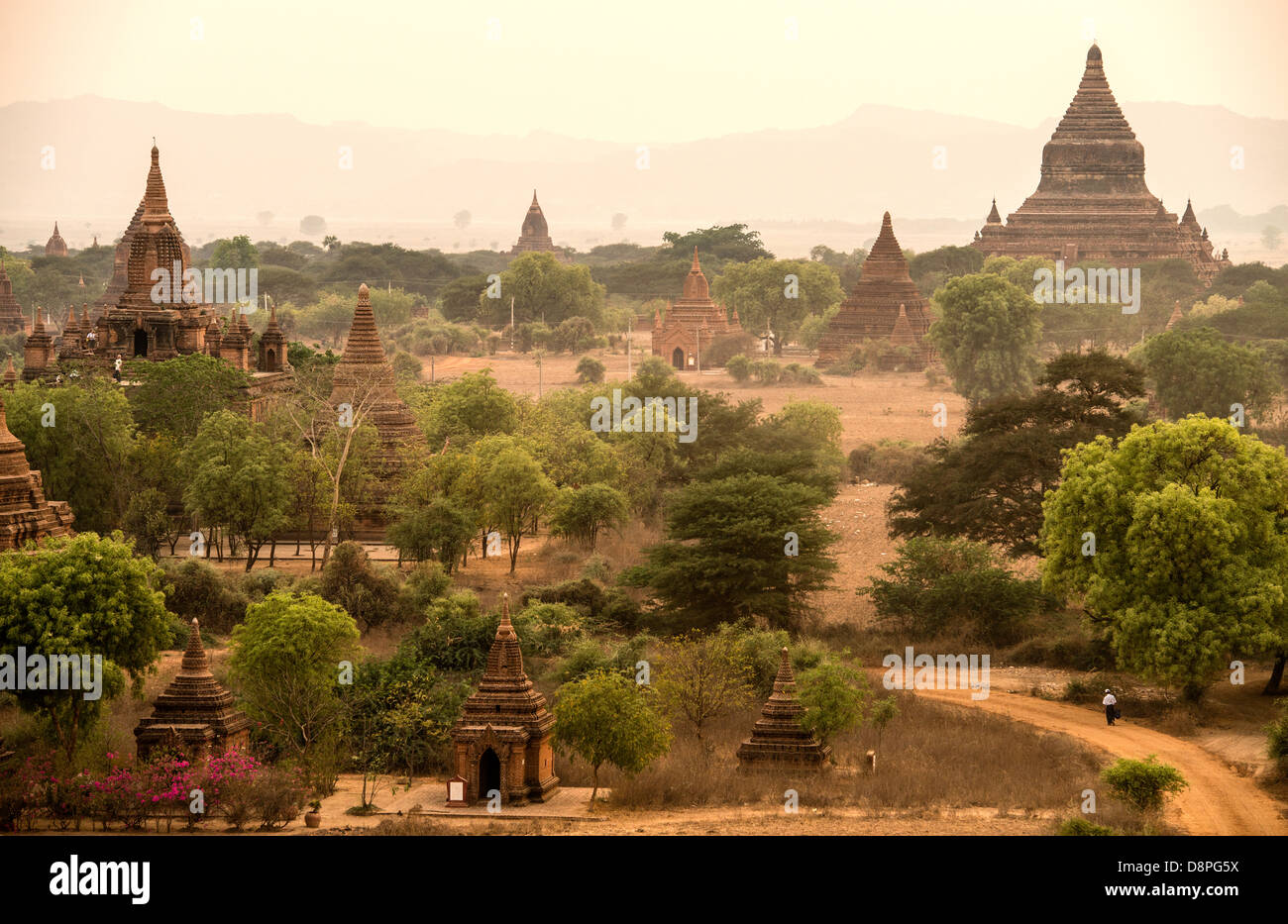 Bagan stupas bouddhistes de la région de Mandalay Birmanie Myanmar Banque D'Images