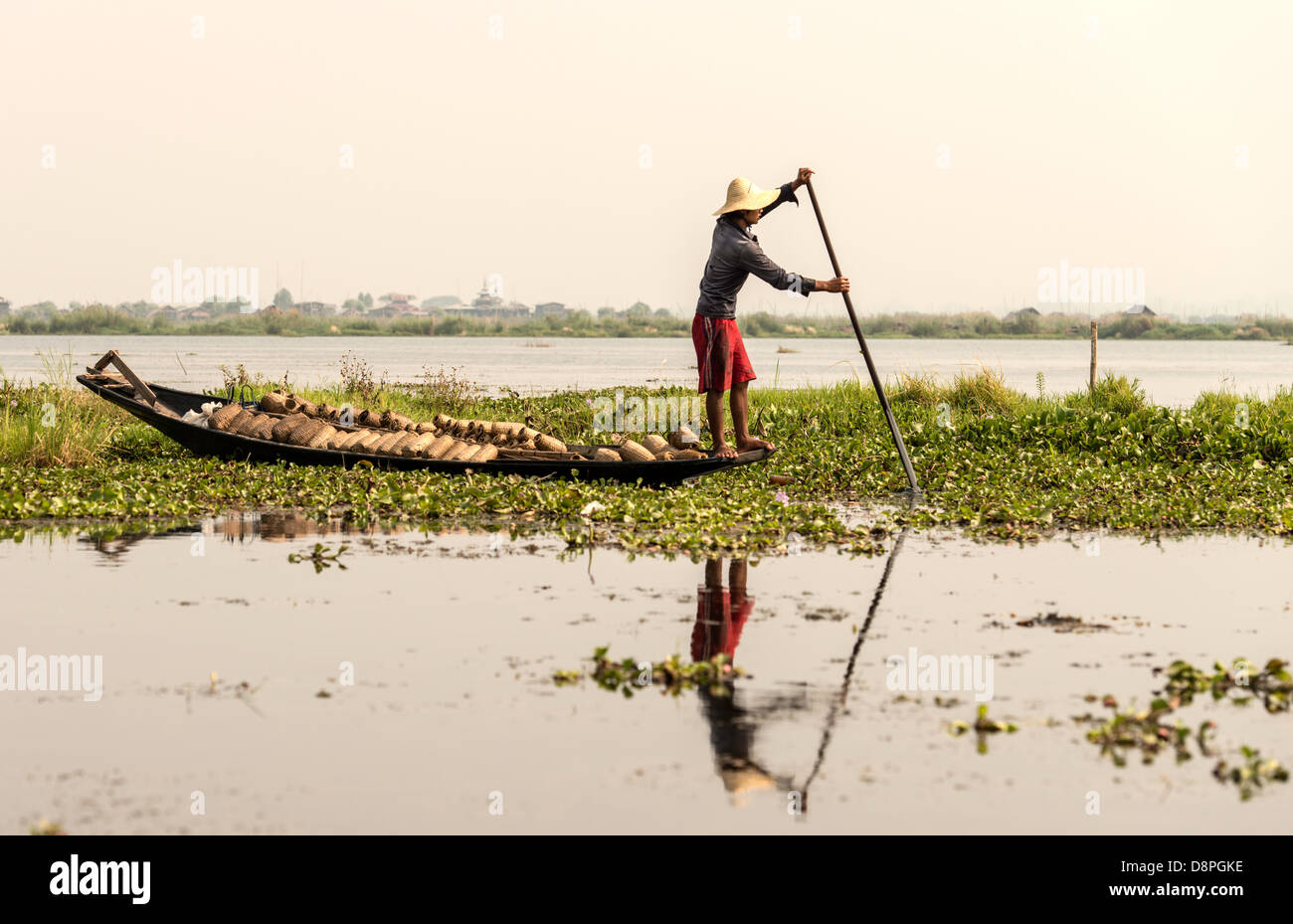 La collecte de pêcheur la végétation de la partie inférieure du lac Inle pour fertiliser les jardins flottants à proximité de la Birmanie Myanmar Nyaungshwe Banque D'Images