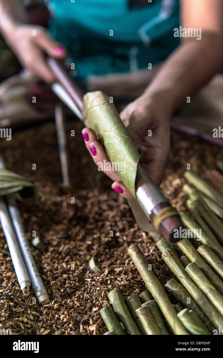Jeune femme birmane au cigare la fabrication des cigares Cheroot Ateliers de fabrication sur le lac Inle Birmanie Myanmar Banque D'Images