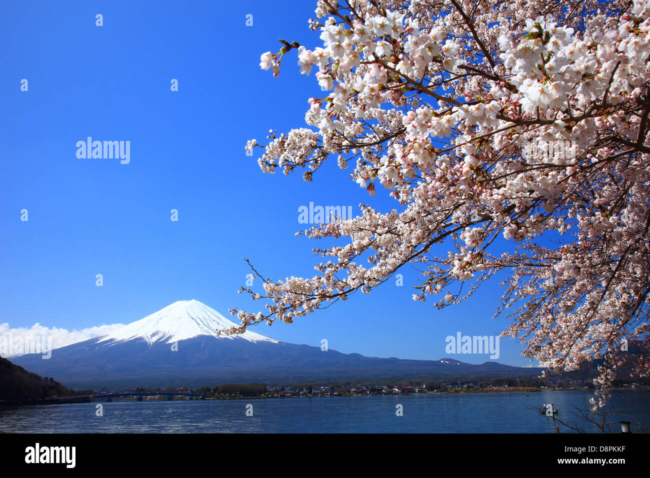Le Mont Fuji et le lac Kawaguchi, préfecture de Yamanashi Banque D'Images