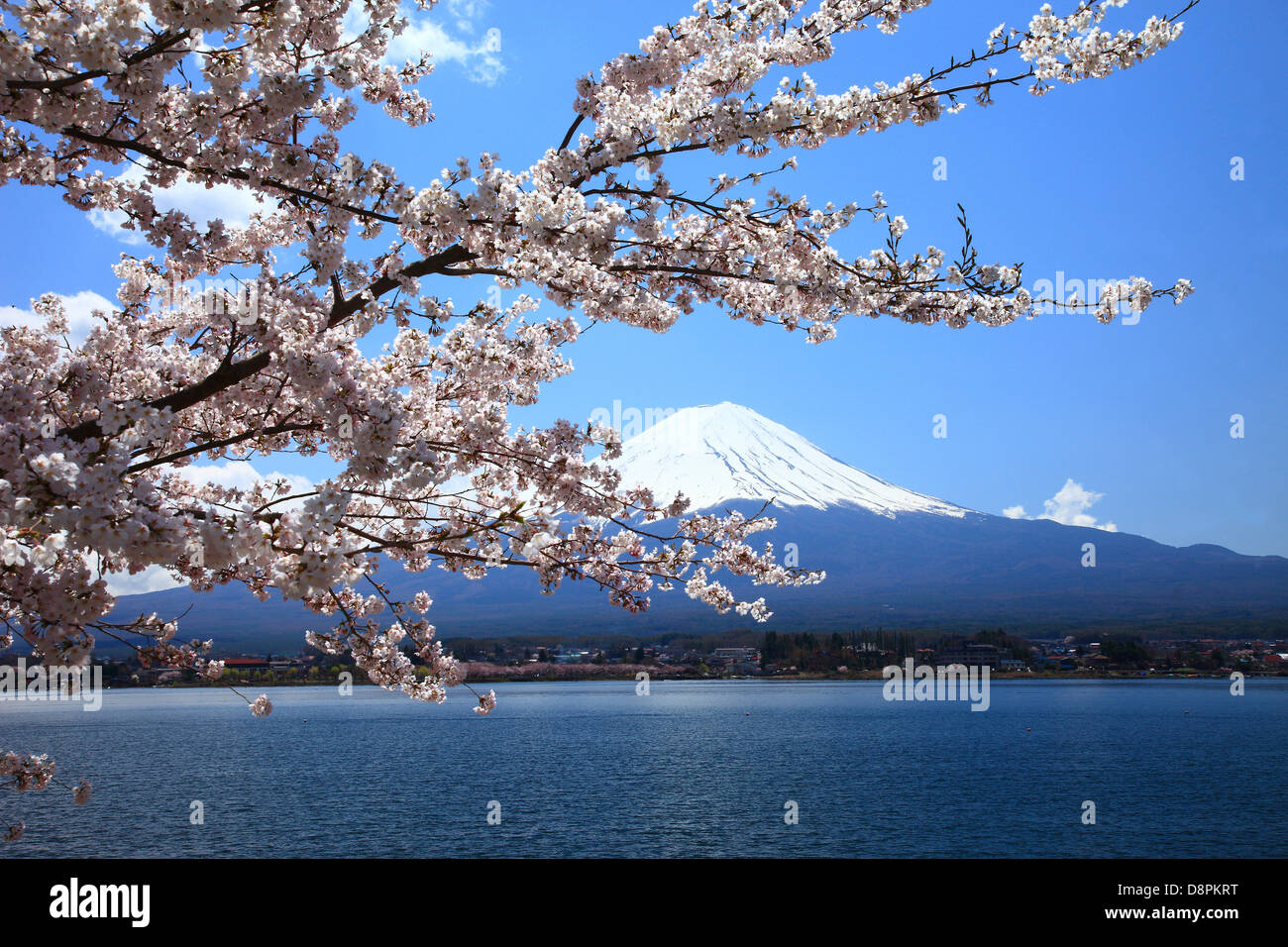 Le Mont Fuji et le lac Kawaguchi, préfecture de Yamanashi Banque D'Images