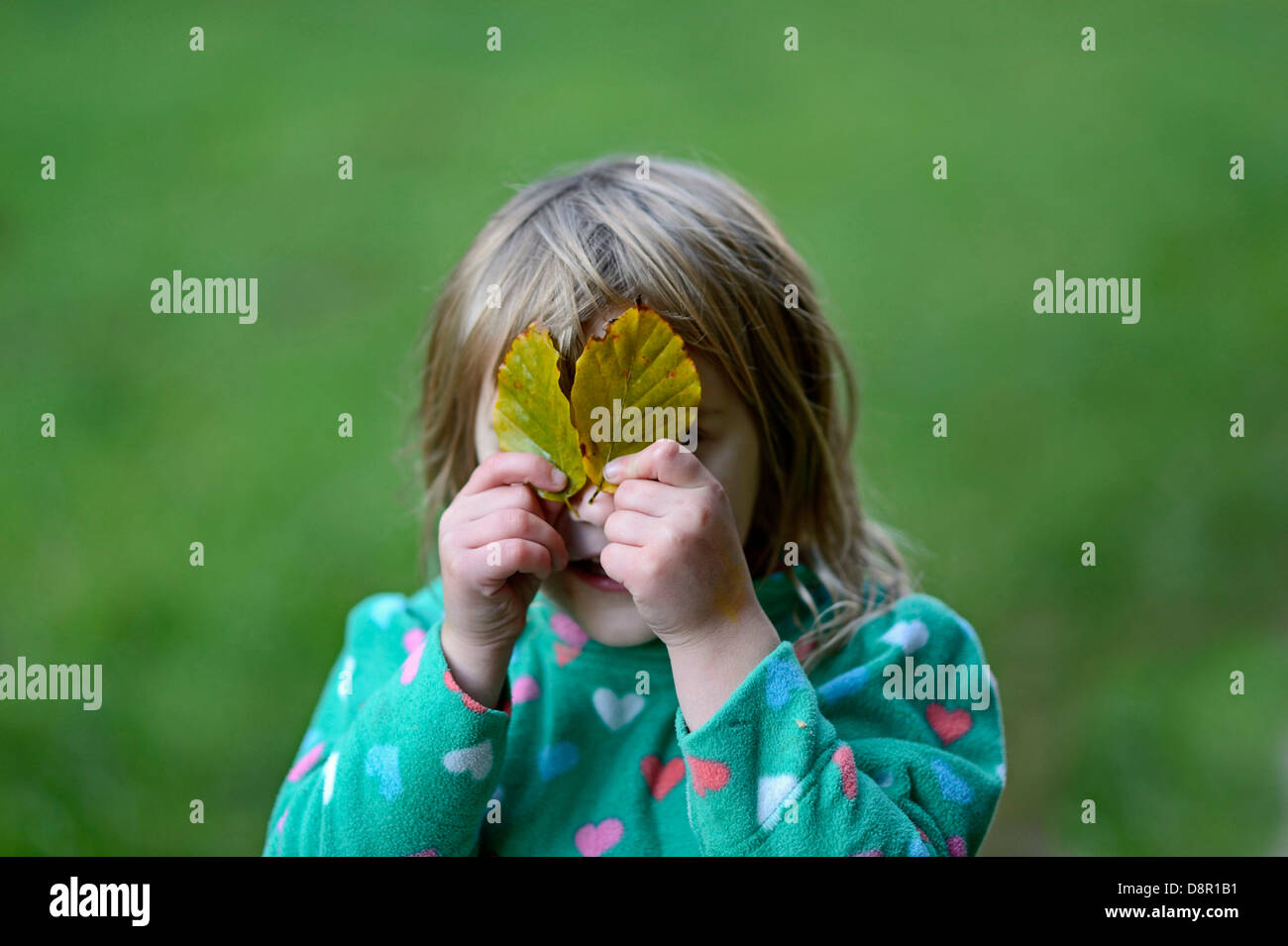 Young Girl playing peek a boo avec feuilles en automne Norfolk forestiers Banque D'Images