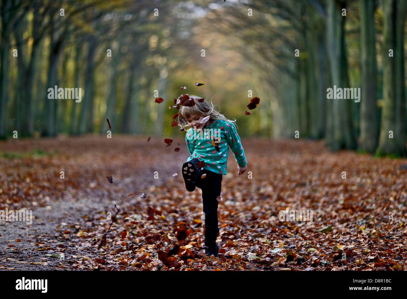 Jeune fille coups de feuilles tombées dans un bois Norfolk UK Banque D'Images