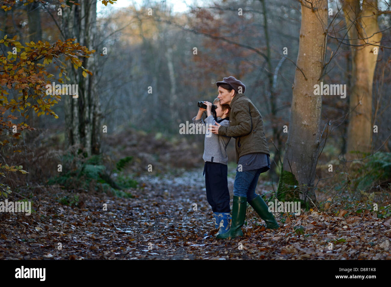 Mère fils montrant des oiseaux dans la forêt dans l'automne Norfolk Banque D'Images