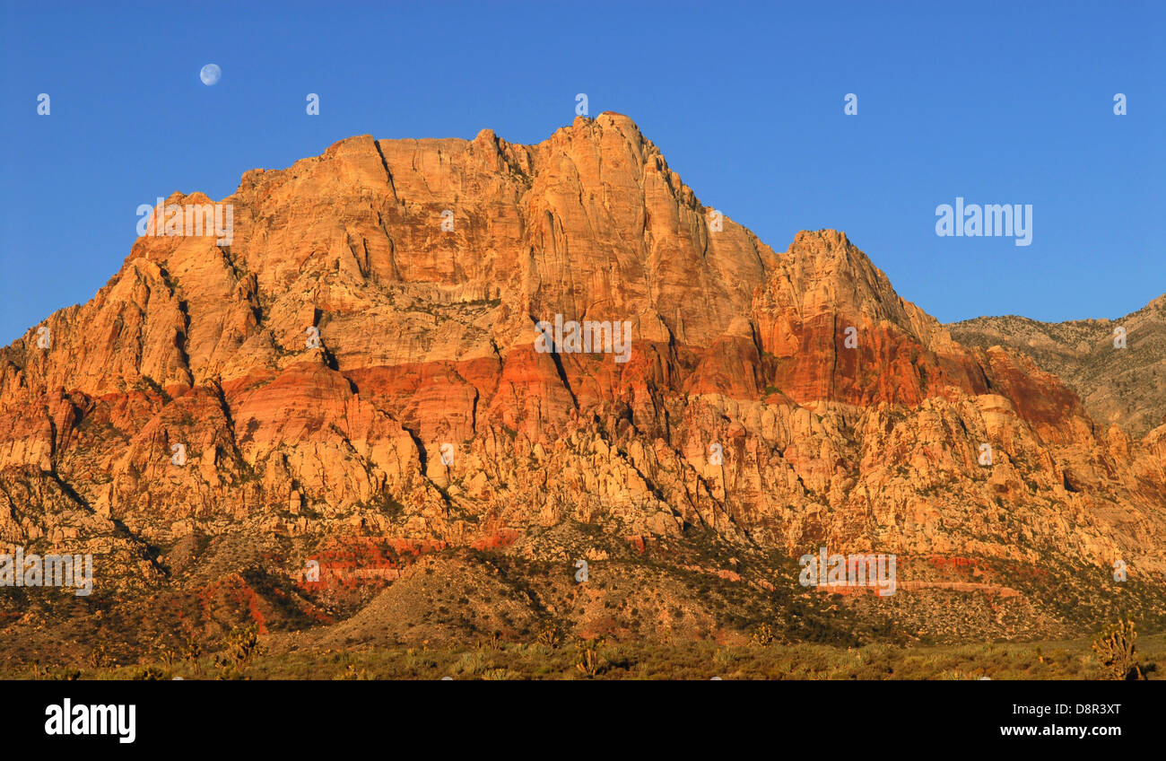 Vue panoramique sur la lune qui brille au-dessus de Red Rock Canyon, Nevada au lever du soleil Banque D'Images