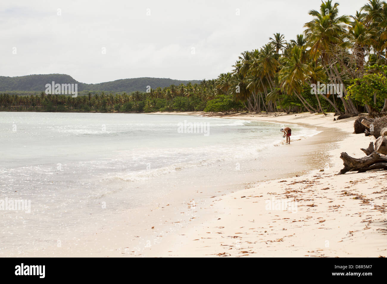 La plage de Las Galeras, République dominicaine. Banque D'Images
